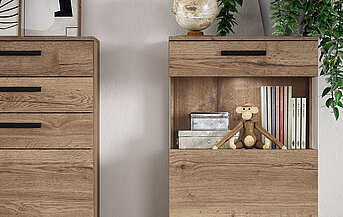 Modern wooden bookshelf with minimalist decor, featuring books, a decorative monkey figure, and plants, enhancing a contemporary and cozy interior design aesthetic.