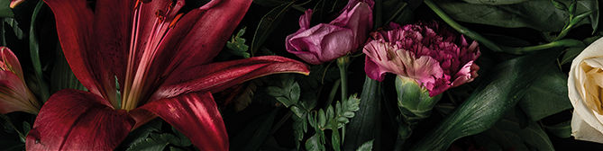 Elegante banner van levendige bloemen en weelderig groen met rode lelies, paarse bloemen en lichte rozen tegen een donkere achtergrond.