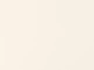 Colore del corpo 120, Magnolia opaco