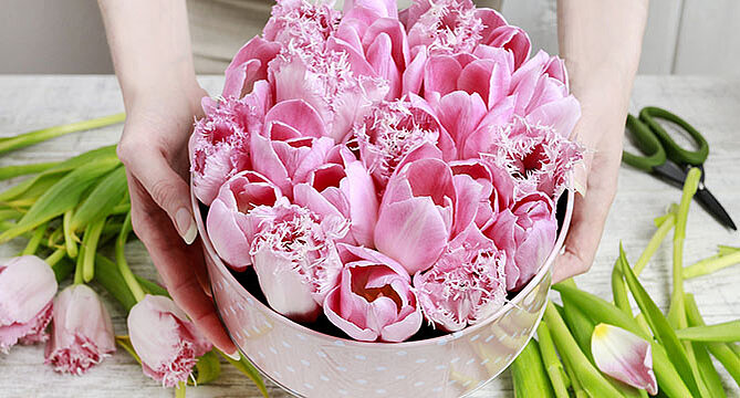 Hands presenting a bowl filled with pink tulips and fringed flowers on a table with floral scissors and more green-stemmed tulips nearby.