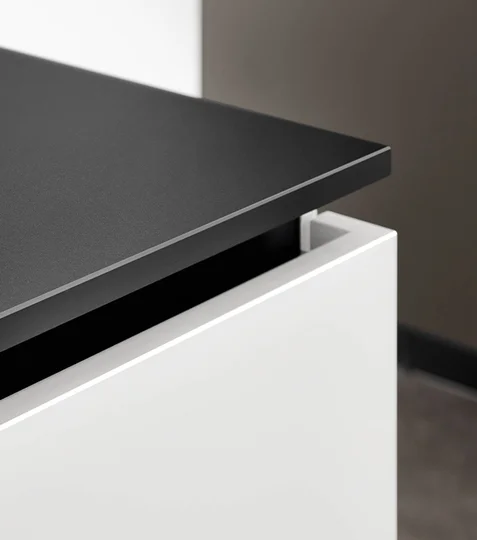 ARTIS 938, Biały alpejski matowy (#3)