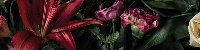 Élégante bannière de fleurs vibrantes et de verdure luxuriante mettant en vedette des lys rouges, des fleurs violettes et des roses pâles sur un fond sombre.