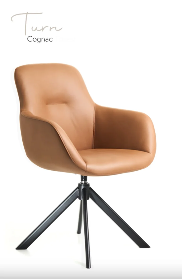 Chair novelties video