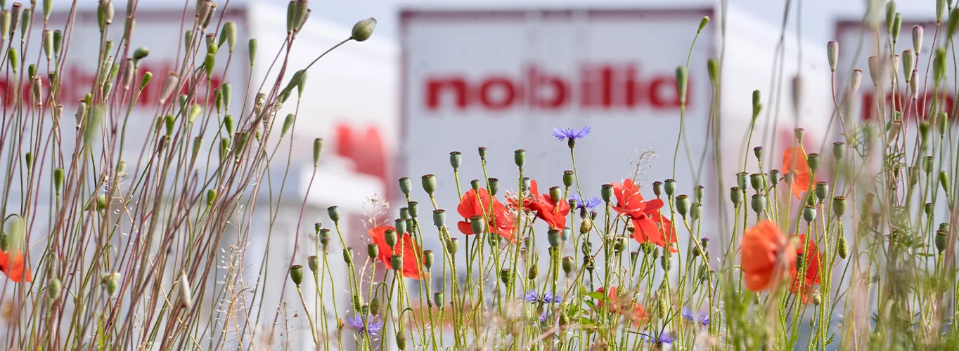 Blumenwiese vor nobilia LKW-Auflieger.