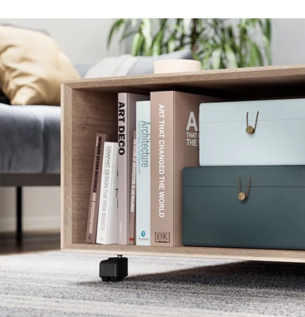 Estantería de madera moderna con una selección de libros de arte y diseño junto a elegantes cajas de almacenamiento en un acogedor salón.