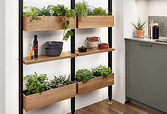 Modern kitchen shelving featuring an assortment of fresh herbs, stylish crockery, and culinary essentials in a cozy, well-organized space.