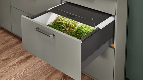 EASYTOUCH 970, Gris taupe ultra-mat (#4)