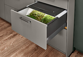 Nowoczesna szuflada kuchenna z wbudowanym, innowacyjnym systemem ogrodu ziołowego wewnątrz, prezentująca świeże zielone zioła w eleganckim, oszczędnym w przestrzeni designie.