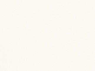 Kolor korpusu 106, Biały