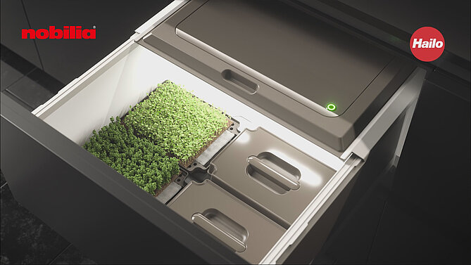 Gardening Box