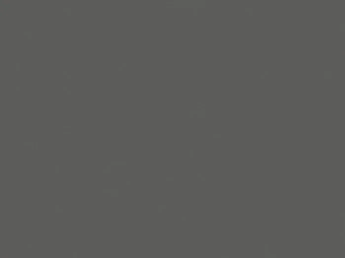 194 - Schiefer grijs