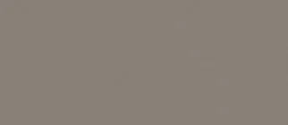 Couleur des joues 513 Laque, gris taupe brillant