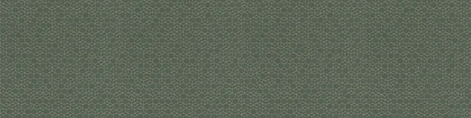 Nahtloses grünes Muster mit durchgehender weißer Herzschlaglinie, das ein Gesundheits- oder medizinisches Thema für den Hintergrund einer Website veranschaulicht.