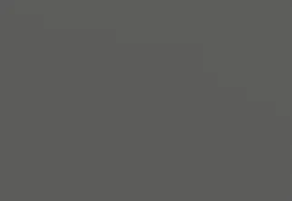 Gris ardoise Couleur du corps 194