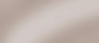 Nischenverkleidung Spiegel Bronzefarbig (050)