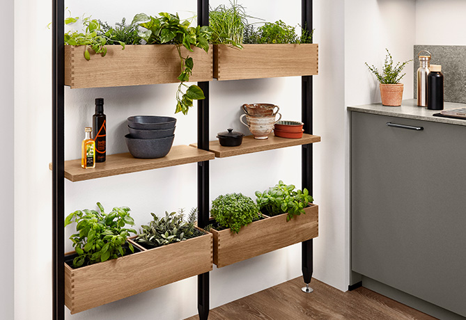 Estanterías de cocina modernas con una variedad de hierbas frescas, vajilla elegante y elementos culinarios esenciales en un espacio acogedor y bien organizado.