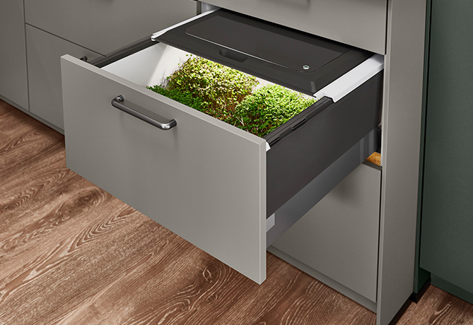 Nowoczesna szuflada kuchenna z wbudowanym, innowacyjnym systemem ogrodu ziołowego wewnątrz, prezentująca świeże zielone zioła w eleganckim, oszczędnym w przestrzeni designie.