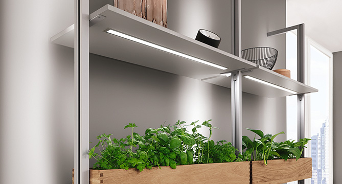 Modern kitchen shelving featuring LED lighting and a variety of lush green plants arranged in a wooden box, with a cityscape visible through the window.