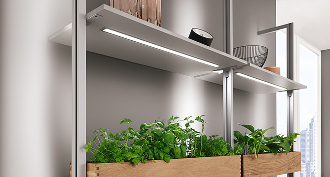 Mensole da cucina moderne con illuminazione a LED e una varietà di piante verdi lussureggianti disposte in una scatola di legno, con uno skyline visibile attraverso la finestra.