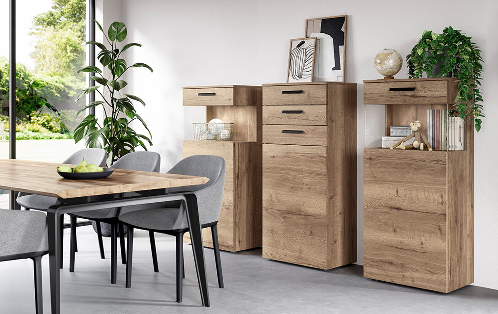 Modern dining room featuring sleek black table with chairs, wooden storage cabinets, and decorative plants, illustrating a stylish and functional interior space.