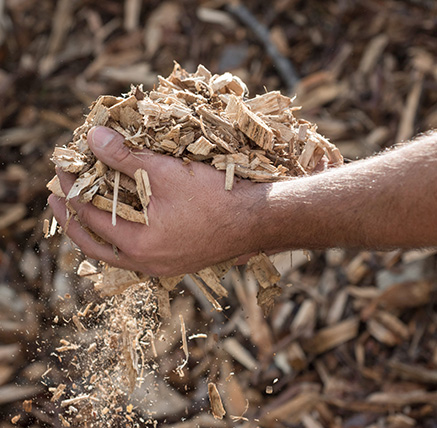 Ein Bild von recyceltem Holz, welches für Küchen genutzt wird.