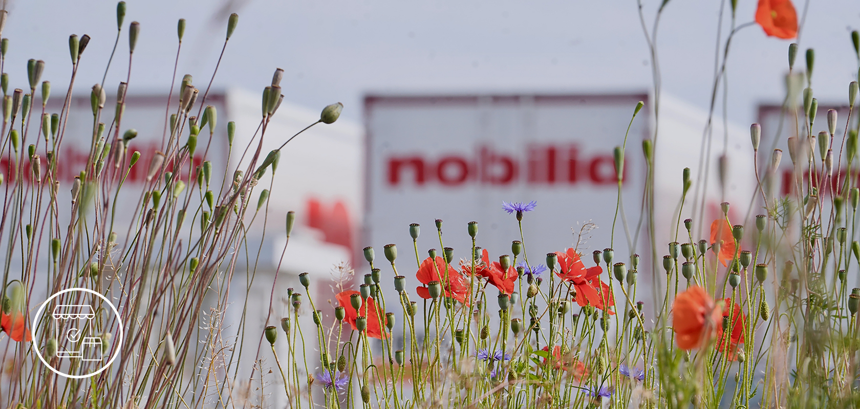 Vibrant red poppies and delicate wildflowers bloom in the foreground with an indistinct commercial building in the hazy distance.