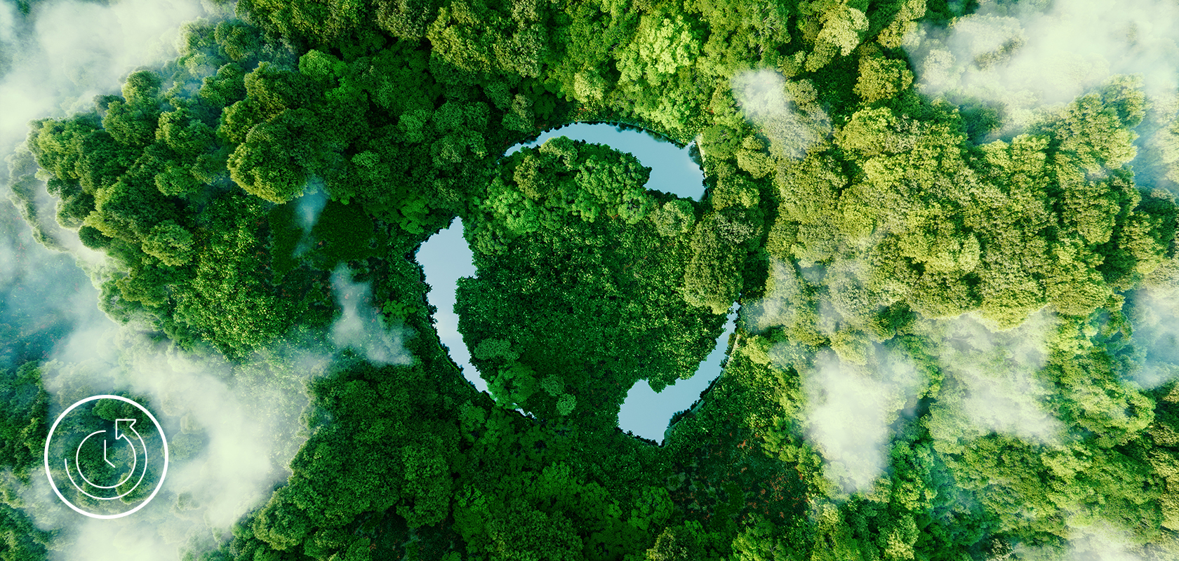 Une vue aérienne d'une forêt luxuriante avec une clairière circulaire frappante, symbolisant une initiative écologique ou le pouvoir de la nature.
