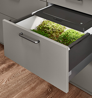 Elegancka szuflada kuchenna z innowacyjnym wbudowanym ogrodem ziołowym, oferująca praktyczne i bezproblemowe połączenie designu i funkcjonalności dla świeżych ziół na wyciągnięcie ręki.