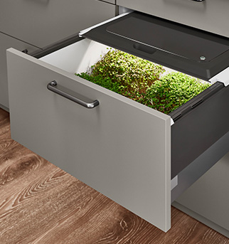 Elegante cassetto da cucina con un innovativo giardino di erbe integrato, che offre un mix pratico e senza soluzione di continuità di design e funzionalità per avere verdure fresche a portata di mano.