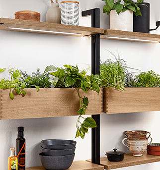 Modern kitchen shelves with a mix of decorative items, cooking ingredients, and a selection of green plants, creating a functional yet cozy atmosphere.