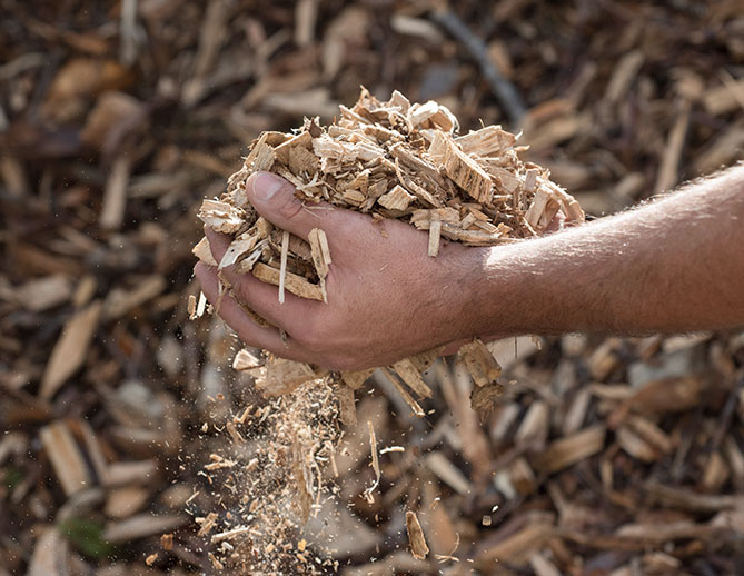Para ręce trzymają stertę wiórów drewnianych, z których kawałki opadają, symbolizując zrównoważone biomasę lub organiczne zasoby ogrodnicze.